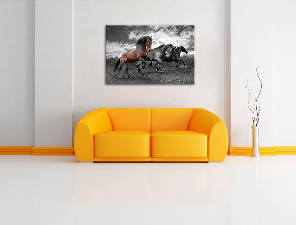 Schöne Wildpferde schwarz/weiss Format: 100x70 auf Leinwand, XXL riesige Bilder fertig gerahmt mit K