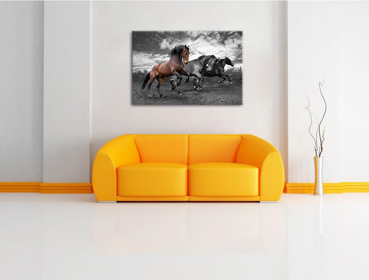 Schöne Wildpferde schwarz/weiss Format: 100x70 auf Leinwand, XXL riesige Bilder fertig gerahmt mit K