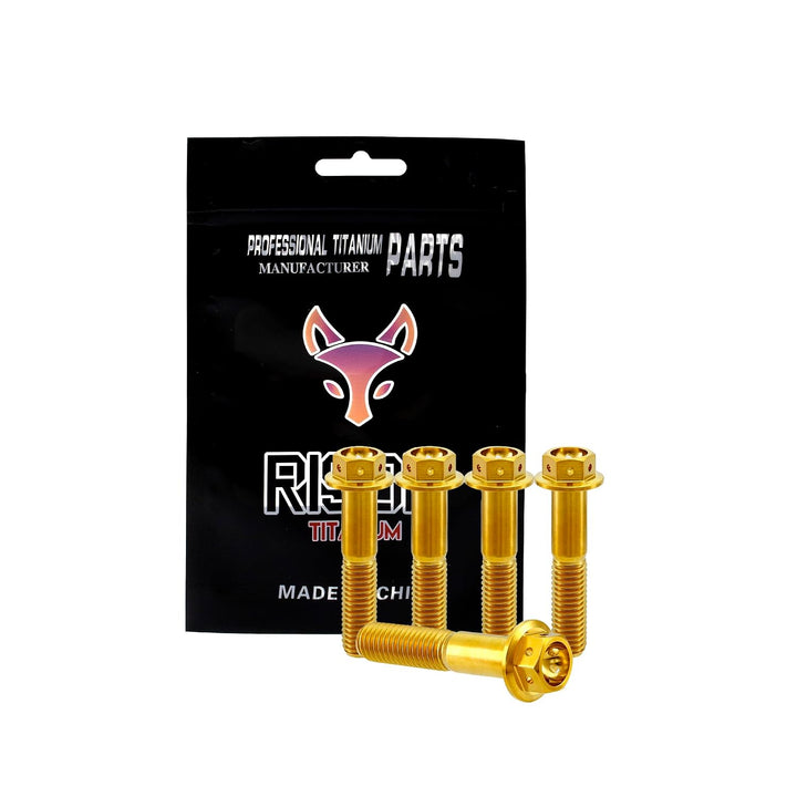 RISON Titanium Bolzen M8x1.25x25mm Titan Flansch Schrauben TC4 Titan Schrauben Sechskantschraube gol