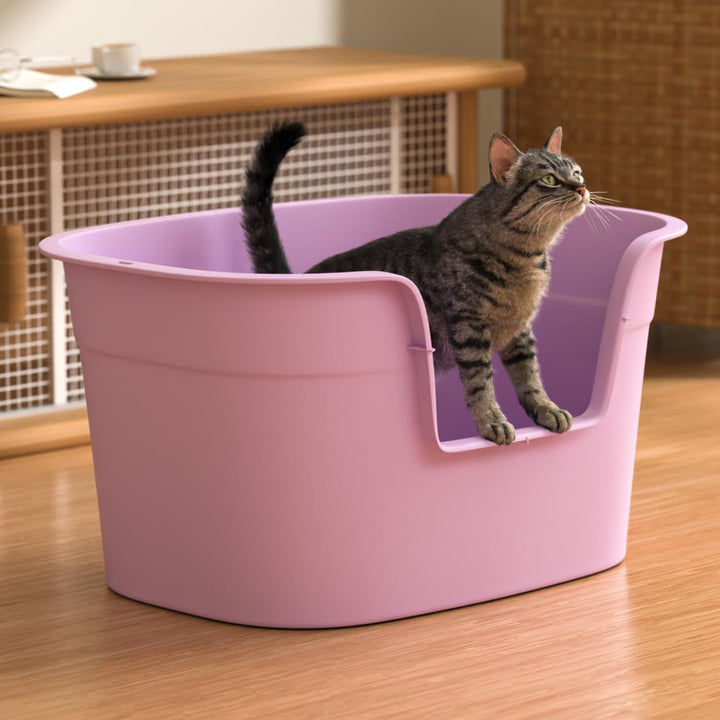 Katzenklo XXL, gross Katzentoilette hoher Rand Design für Kätzchen-Komfort, einfache Reinigung, gerä