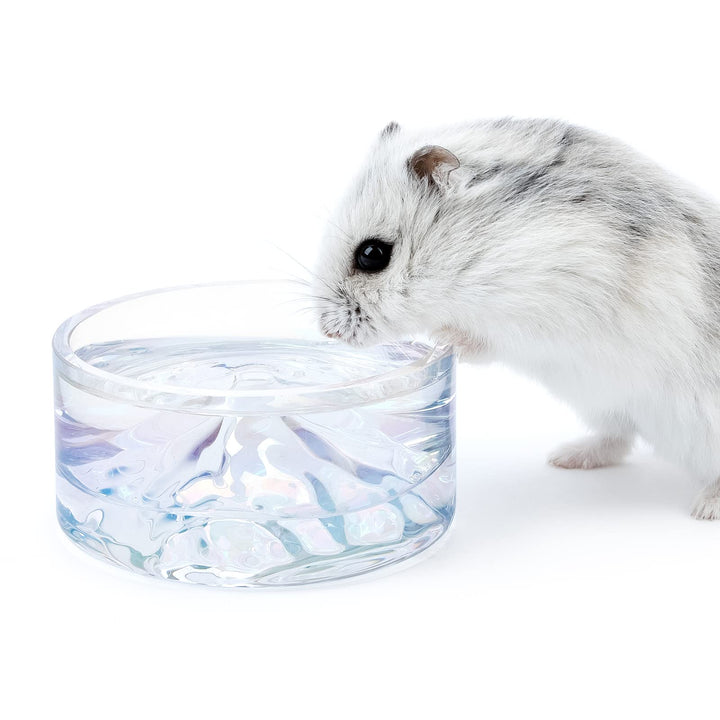 Niteangel Hamster Feeding & Water Bowls- Mount Fuji Series Glass Drinking Bowls for Dwarf Syrian Ham