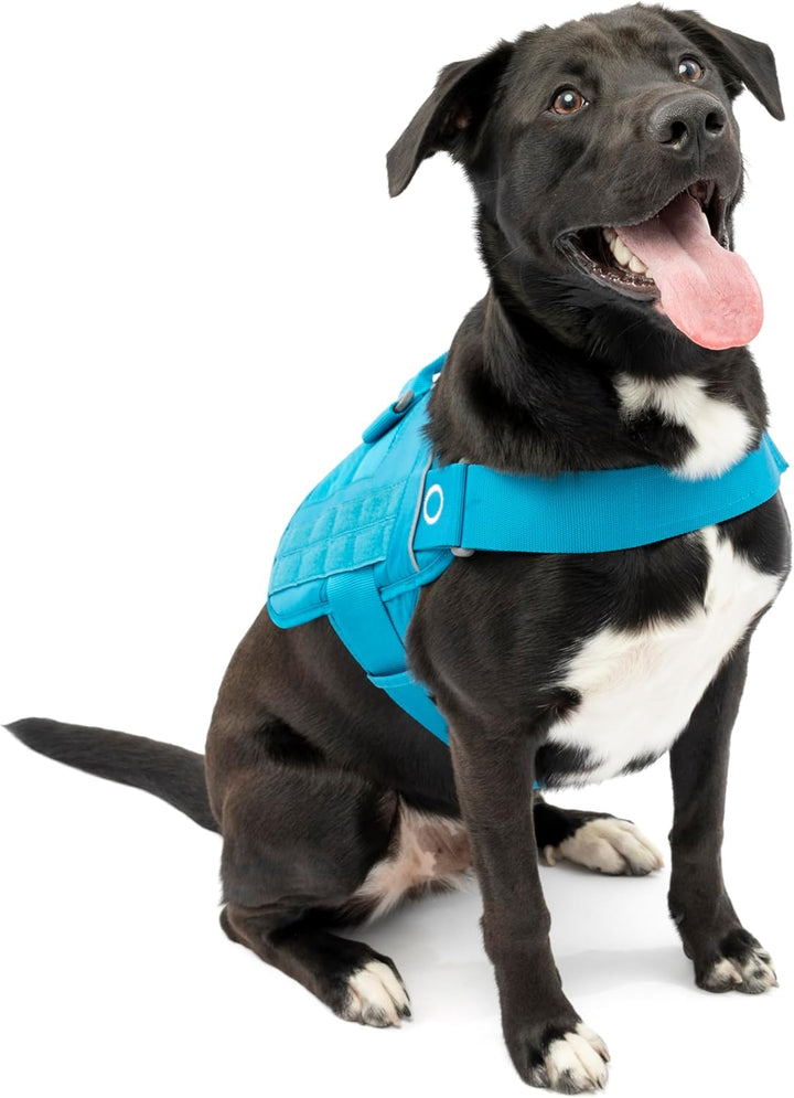 Kurgo RSG Townie Hundegeschirr, Einfaches Anlegen und Abnehmen, Einstellbare Brust- und Bauchgurte,