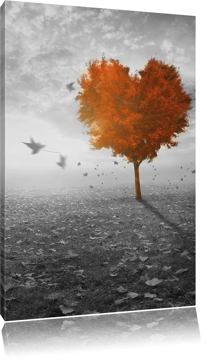 Pixxprint Roter Herzbaum im Herbst schwarz/weiss als Leinwandbild/Grösse: 100x70 cm/Wandbild/Kunstdr