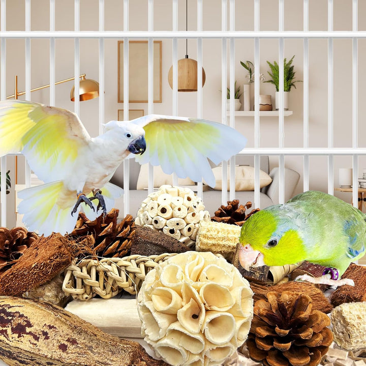 Felicify Vogelspielzeug, Papageienspielzeug, Papagei Kauspielzeug, Kaubare Vogel Spielzeug, Vogelkäf
