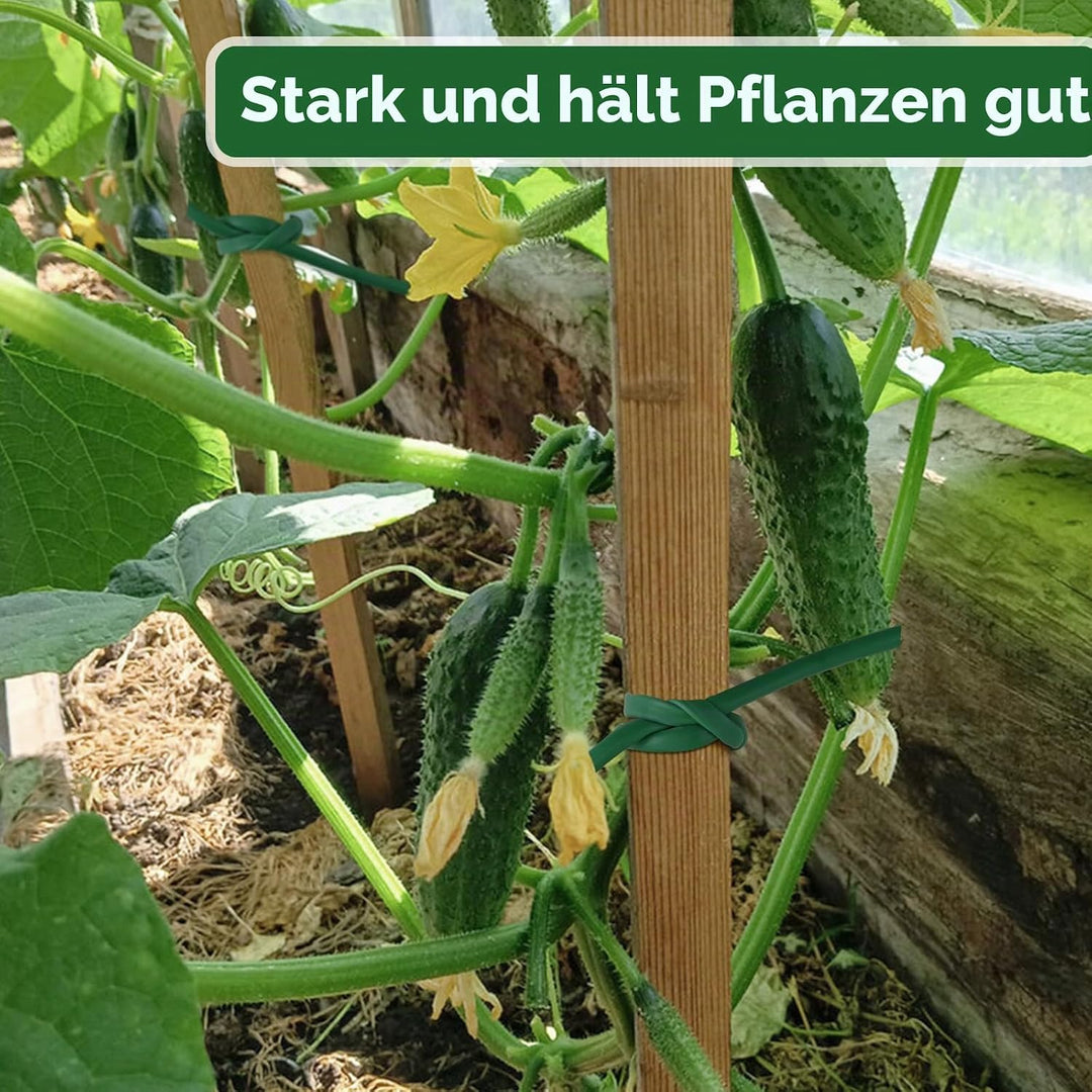 KINGLAKE Hohlschnur, Bindeschlauch 3mm x 100m, Pflanzenschnur Gartenschnur Wetterfest Reissfest, Pfl