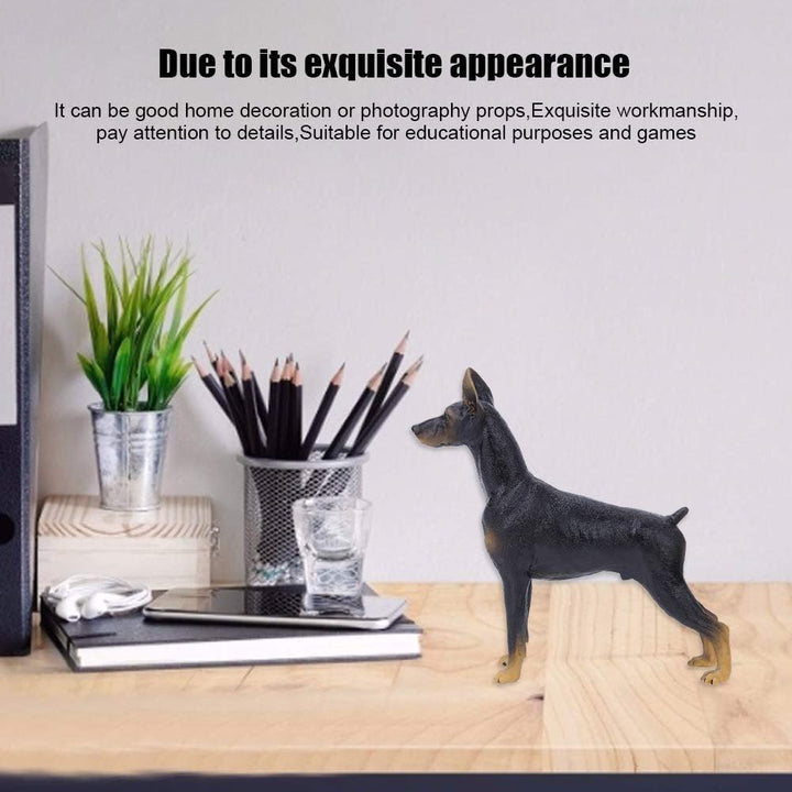 Zerodis Feste Simulation Black Doberman Modell Kunststoff Hund Tier Sammlung Dekoration frühes pädag