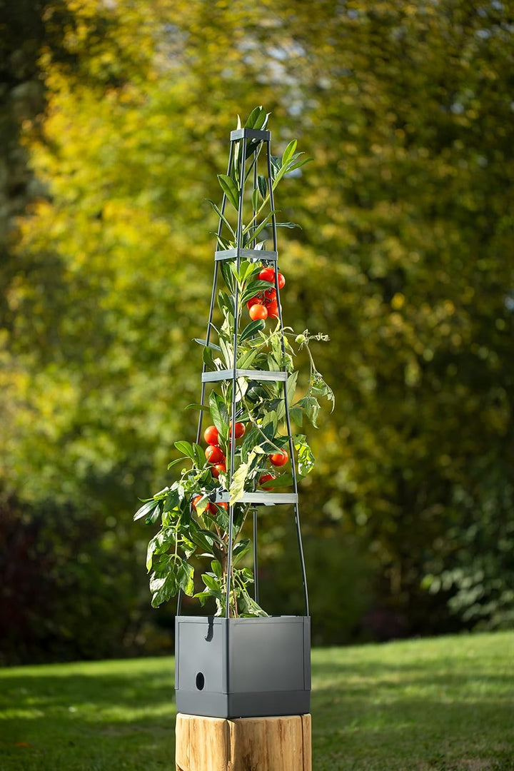 Meister Pflanzturm 150 x 25 x 25 cm - Für Tomaten & Rankgewächse - Mit Rankhilfe - 2,5 L Wassertank