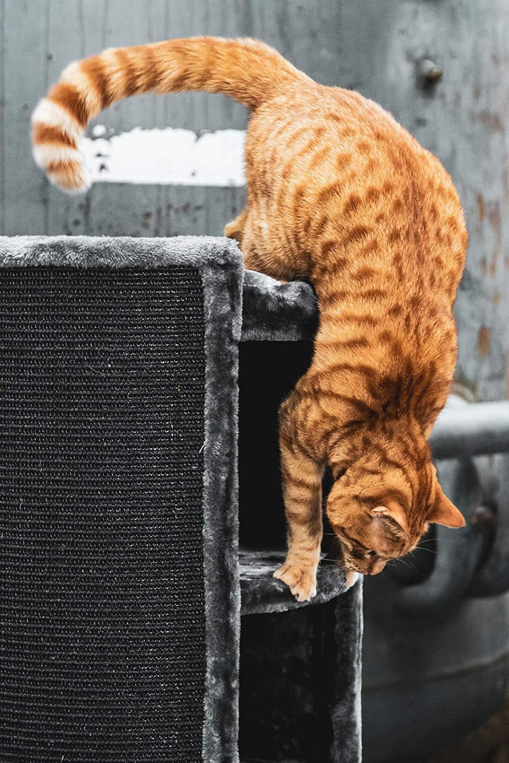 Petrebels Kratztonne XXL Superdome 120 cm hoch, Ø 50 cm, Design Kratztonne für grosse Katzen, extra