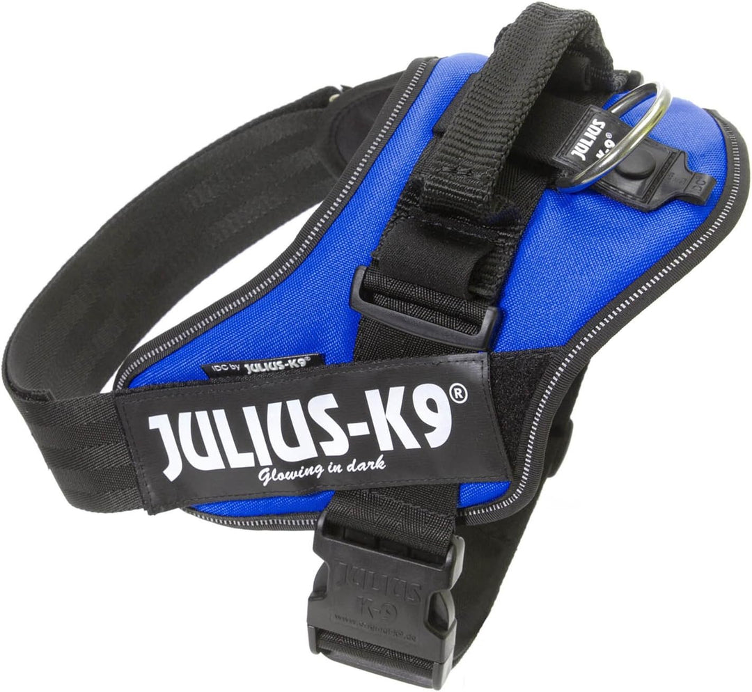 Julius K9 Hundegeschirr, Brustgeschirr reflektierend Hunde Geschirr mit personalisiertes Geschenk, b