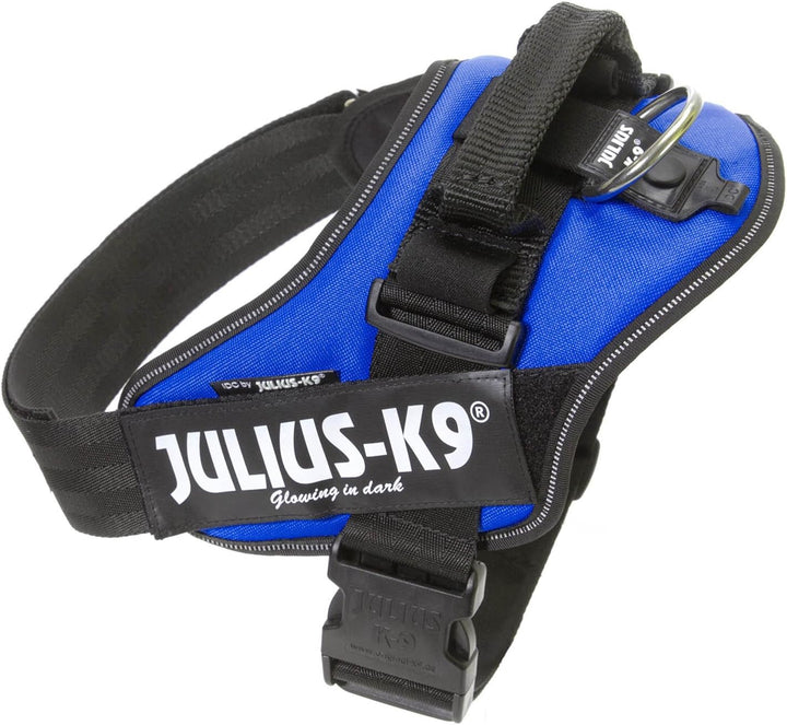 Julius K9 Hundegeschirr, Brustgeschirr reflektierend Hunde Geschirr mit personalisiertes Geschenk, b