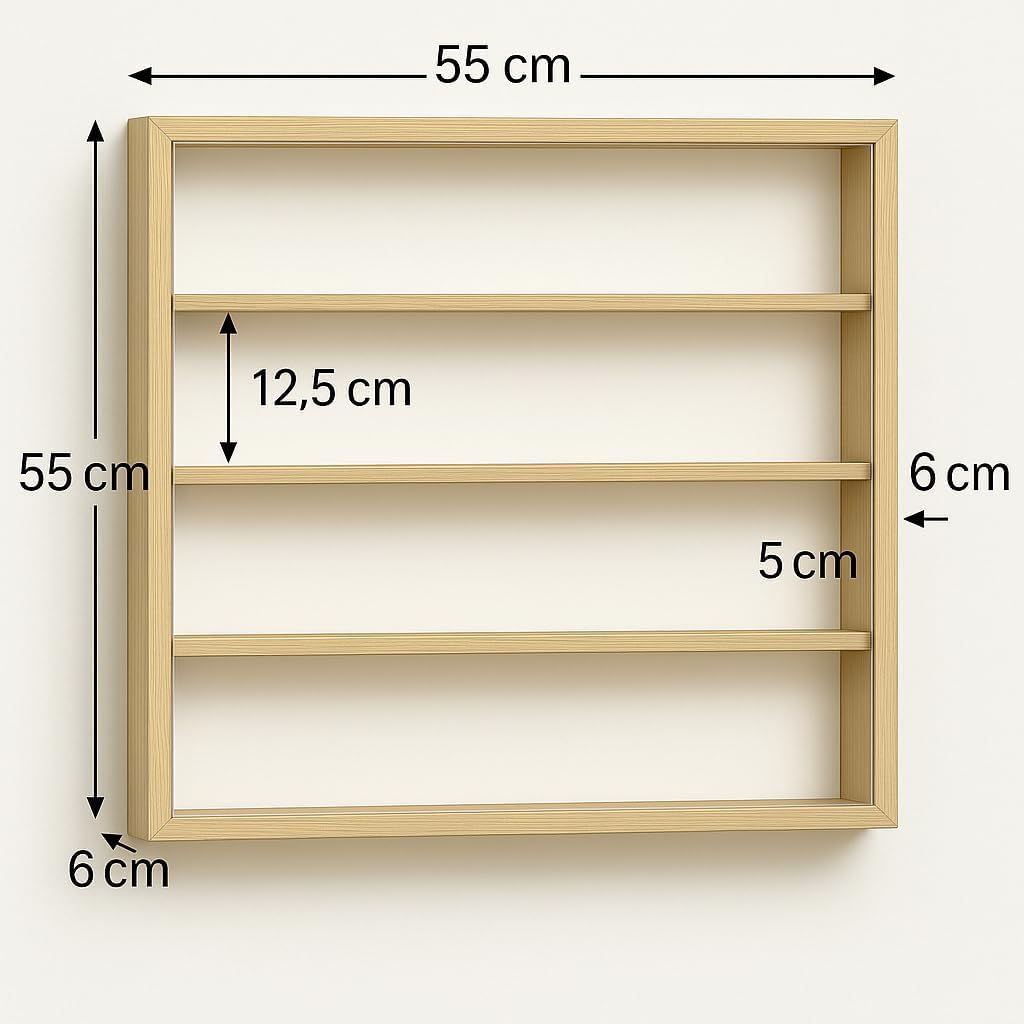 Alsino Vitrine V-47 Setzkasten Wandvitrine Hängevitrine Regal 55 x 55 x 6 mit Acrylglasscheibe - 4 E
