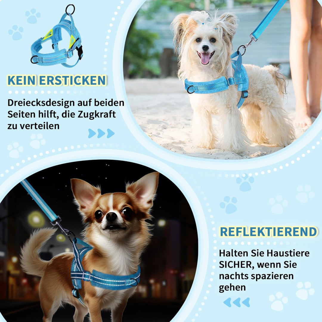 Eyein Hundegeschirr mit Leine für mittelgrosse Kleine Hunde, Weich gepolsterter No-Pull Brustgeschir