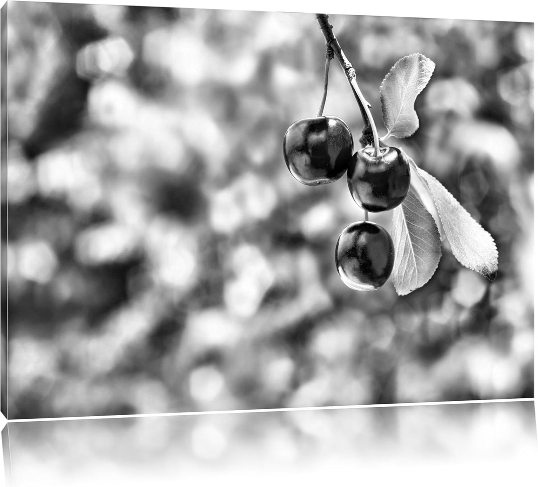 Monocrome, Kirsche, Format: 100x70 auf Leinwand, XXL riesige Bilder fertig gerahmt mit Keilrahmen, K