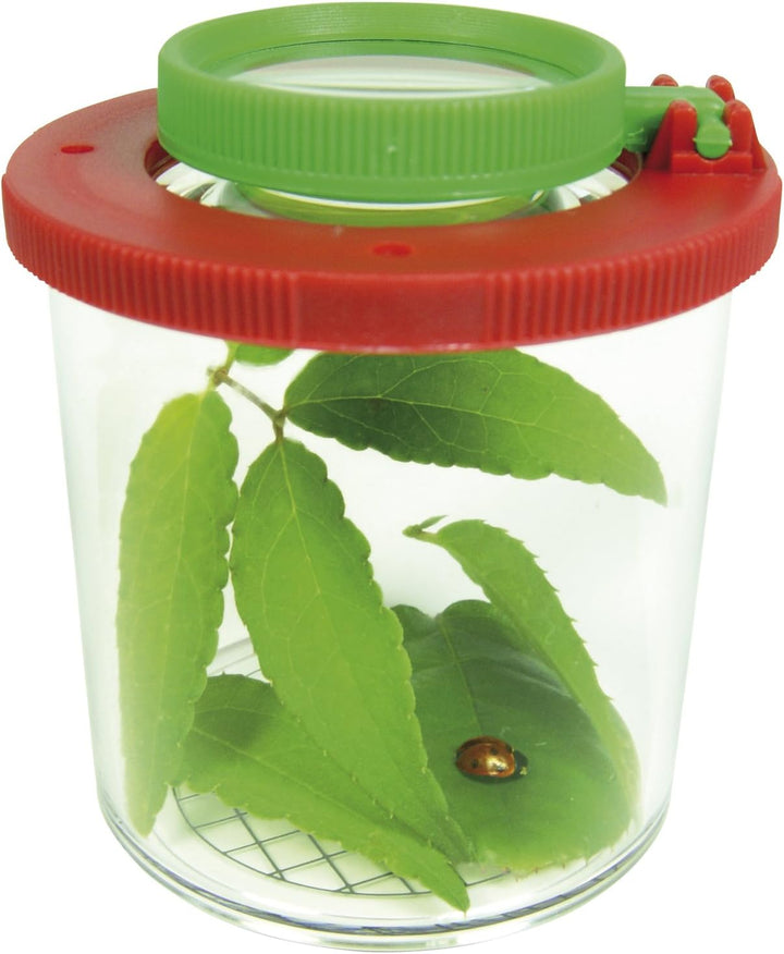 EDUPLAY 150006 Lupendose Ø 6 cm, H 7 cm, mit Plastikspinne, transparent (10er Pack)