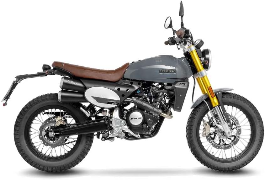 Endschalldämpfer LeoVince SLIP-ON SBK GP DUALS, mit Katalysator, mit Zulassung für Fantic Caballero