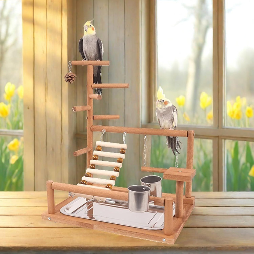 Parrot Playstand, Vögel Spielplatz, Wellensittich Spielzeug Vögel Spielplatz Papagei Spielplatz Papa