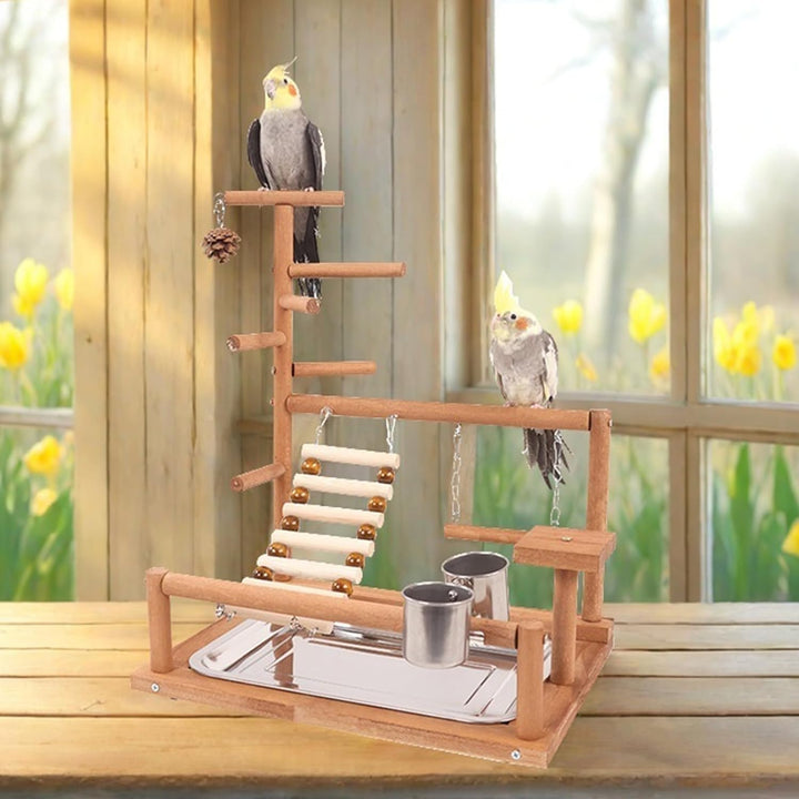 Parrot Playstand, Vögel Spielplatz, Wellensittich Spielzeug Vögel Spielplatz Papagei Spielplatz Papa
