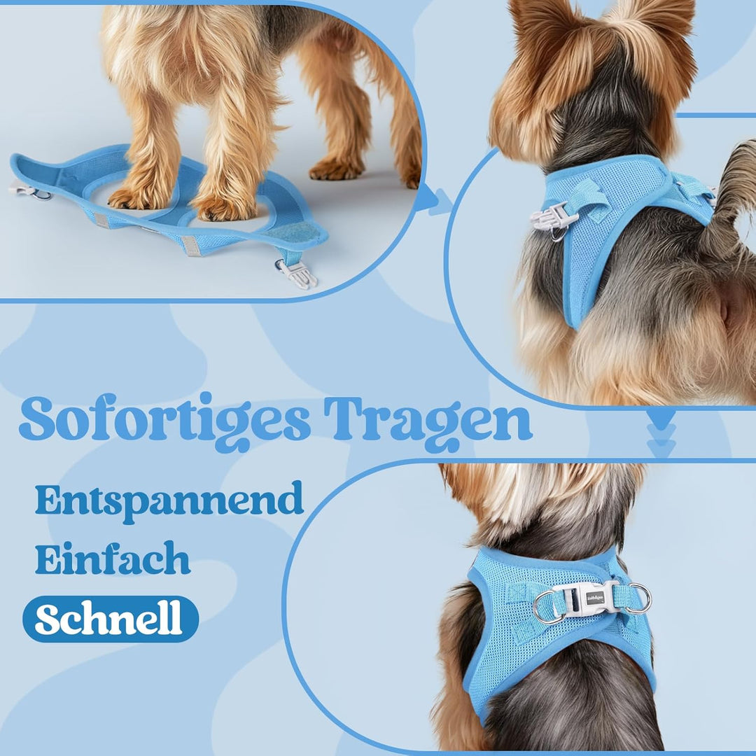 rabbitgoo Hundegeschirr Kleine Hunde, Step-in Welpengeschirr Weich Mesh für Spaziergänge, Atmungsakt