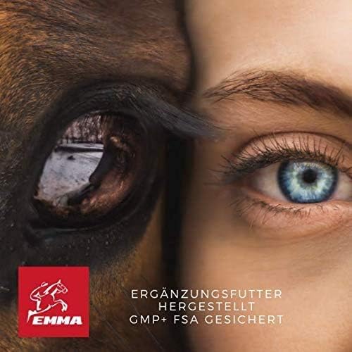 Reiskeimöl Leinöl 1L 30ml für Pferde Plus Vitamin E + Aminosäuren Pferd + Vitamin E komplex - Muskel