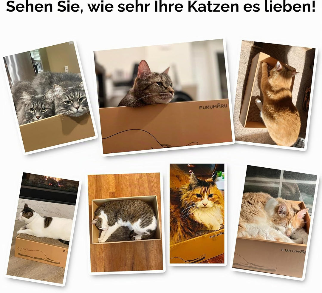 FUKUMARU Kratzbrett Katze, 5er-Set, Katzenkratzbox mit hochwertiger Karton, Doppelseitige Kratzpappe