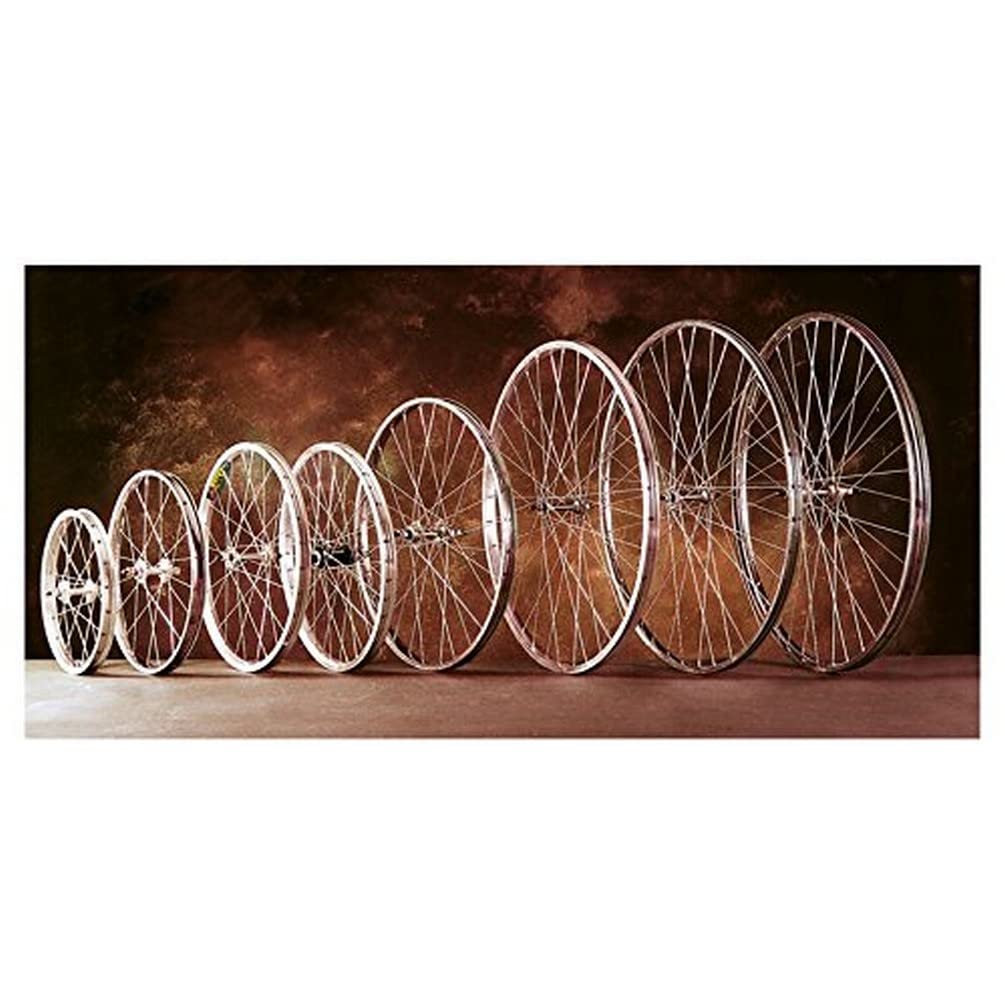 Gurpil 64217 Vorderrad, 700 x 28 C Speichen mit Mutter