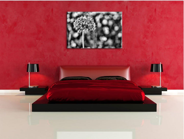 Pixxprint Pusteblume vor Wildwiese / 100x70cm Leinwandbild bespannt auf Holzrahmen/Wandbild Kunstdru