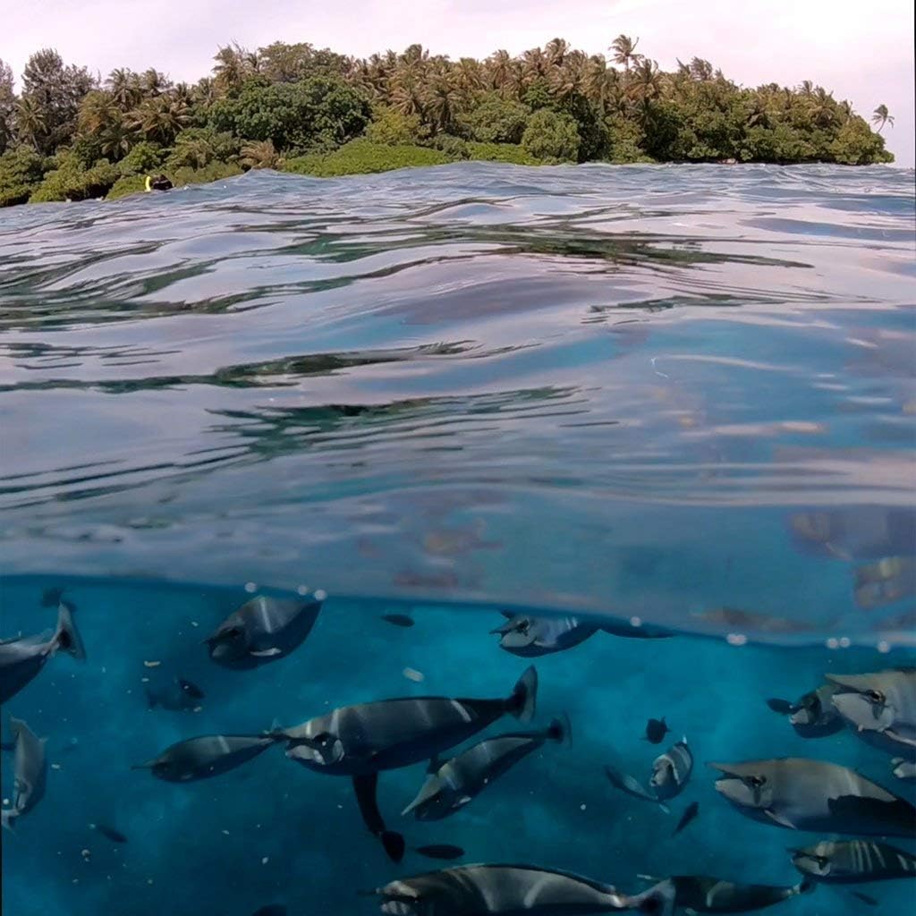 PolarPro - GoPro Hero 9 & 10 Fifty-Fifty Dome, PP-H9-FF,