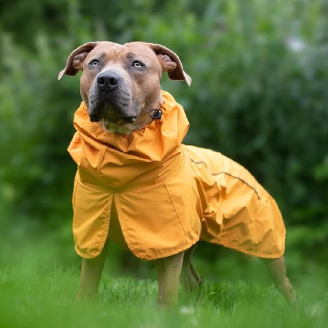 Spark Paws Hunderegenmantel, wasserdichte Winddichte Regenjacke, für kleine, mittlere, grosse und ex