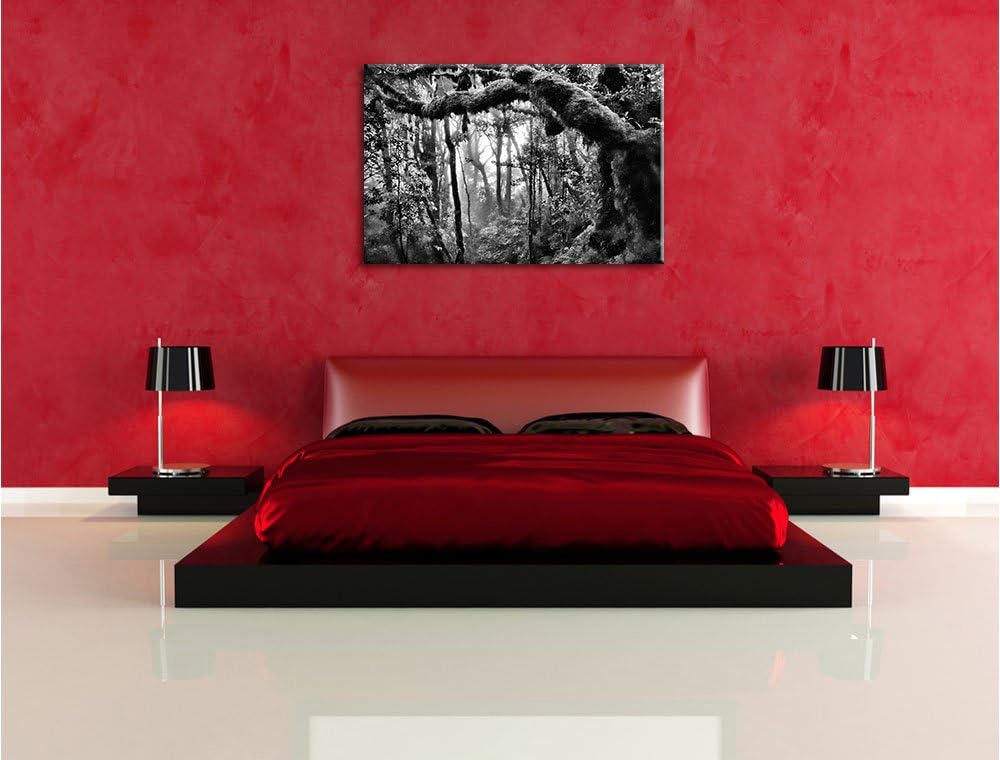 Pixxprint Regenwald Bäume See / 100x70cm Leinwandbild bespannt auf Holzrahmen/Wandbild Kunstdruck De