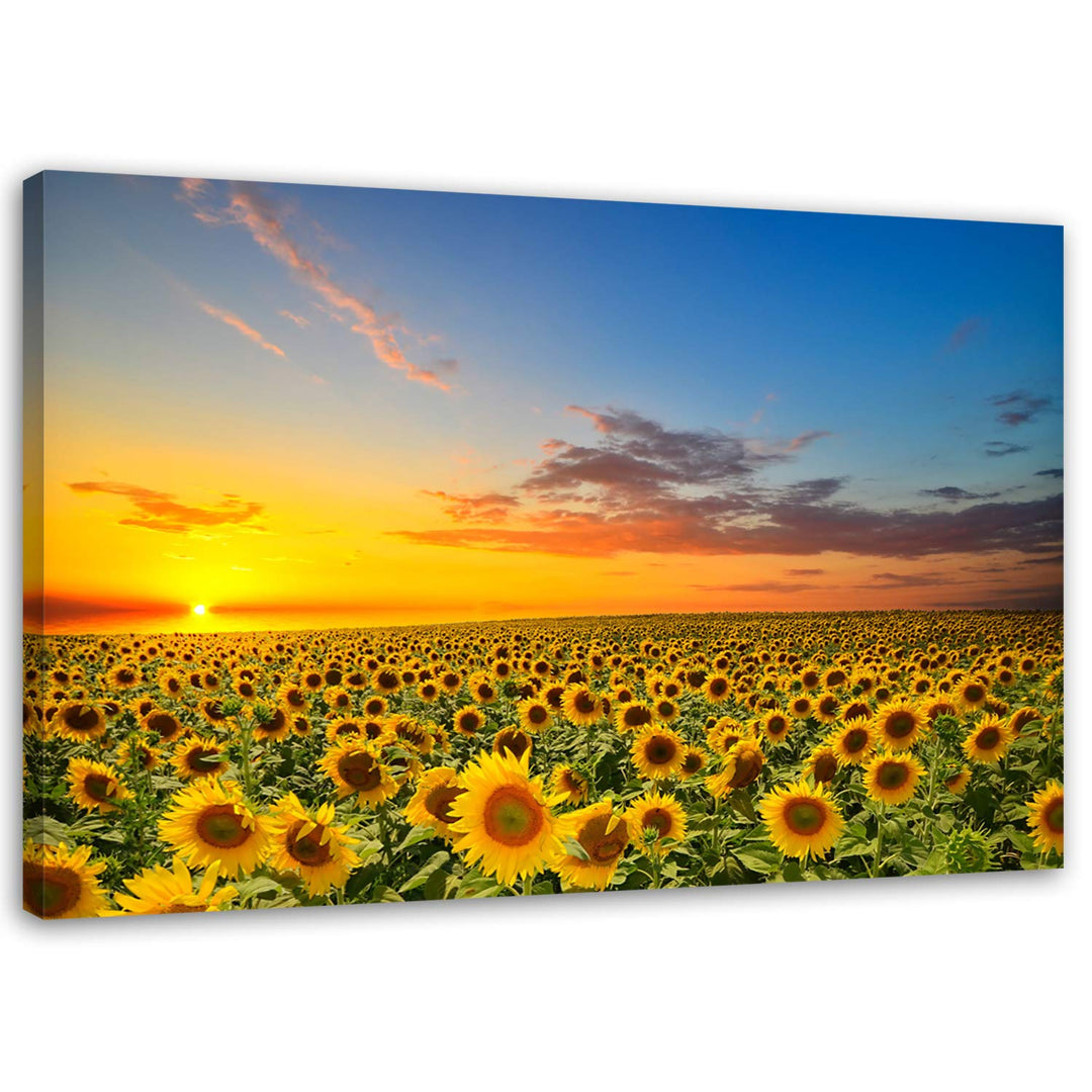 Feeby, Leinwandbild, Bilder, Wand Bild, Wandbilder, Kunstdruck 40x60cm, Wiese, Blumen, Sonnenblume,