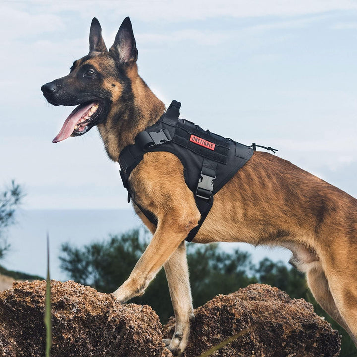 OneTigris Taktische Hundeweste Service Hundegeschirr MOLLE Hundeausbildung Geschirr 1000D Nylon (XL,