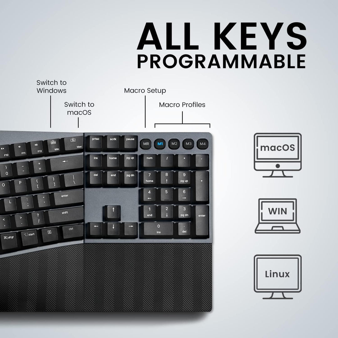 Perixx PERIBOARD535BL Kabelgebundene ergonomische mechanische Tastatur in voller Grösse – Flache Bla