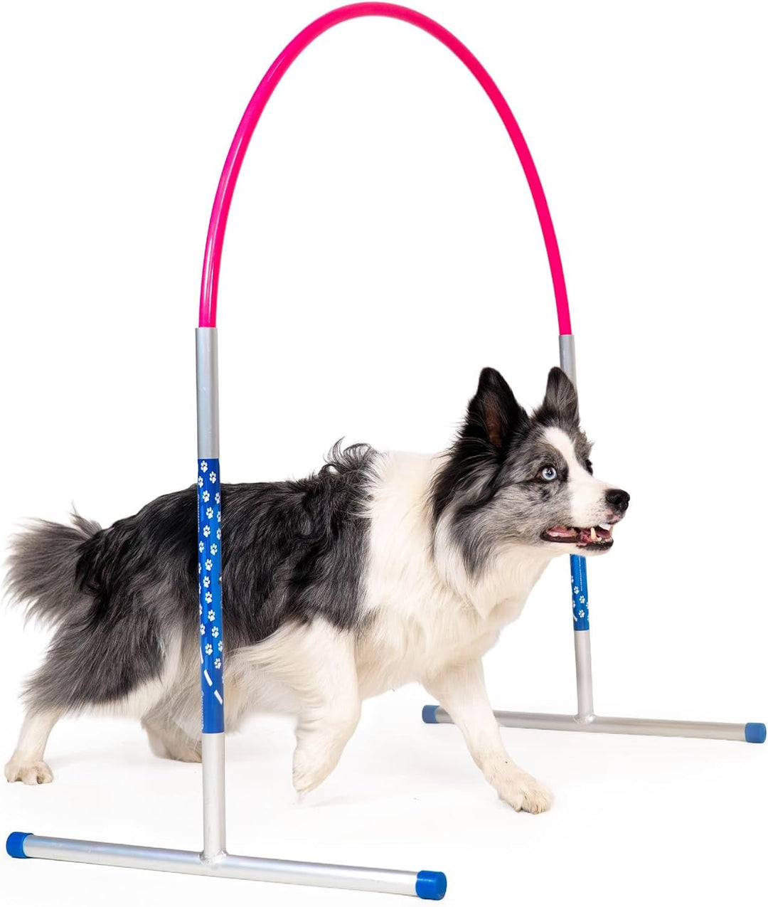 Hoopers Agility Hoops - NADAC Hoopers Agility Hoops ohne Mittelstrebe (Grosspackung) Pink, Pink