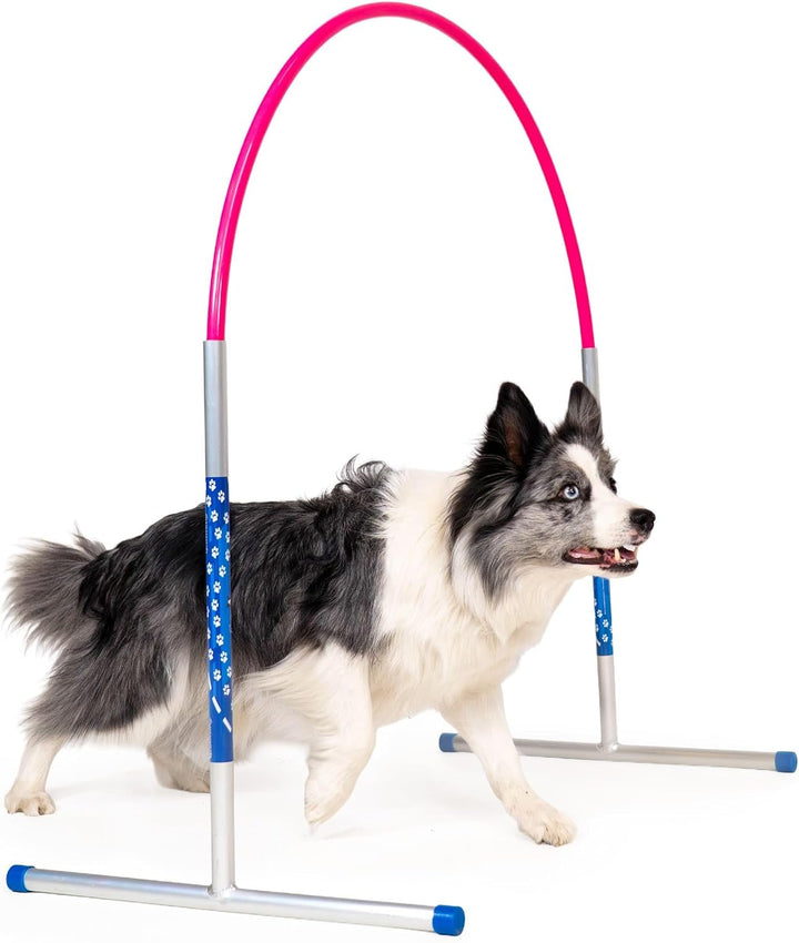 Hoopers Agility Hoops - NADAC Hoopers Agility Hoops ohne Mittelstrebe (Grosspackung) Pink, Pink