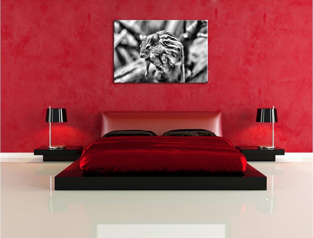 Pixxprint ruhende Feldmaus als Leinwandbild | Grösse: 100x70 cm | Wandbild | Kunstdruck | fertig bes