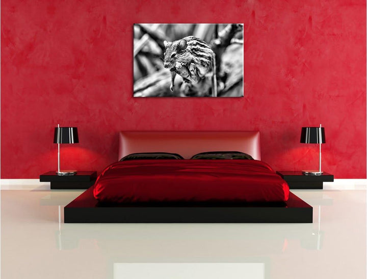 Pixxprint ruhende Feldmaus als Leinwandbild | Grösse: 100x70 cm | Wandbild | Kunstdruck | fertig bes