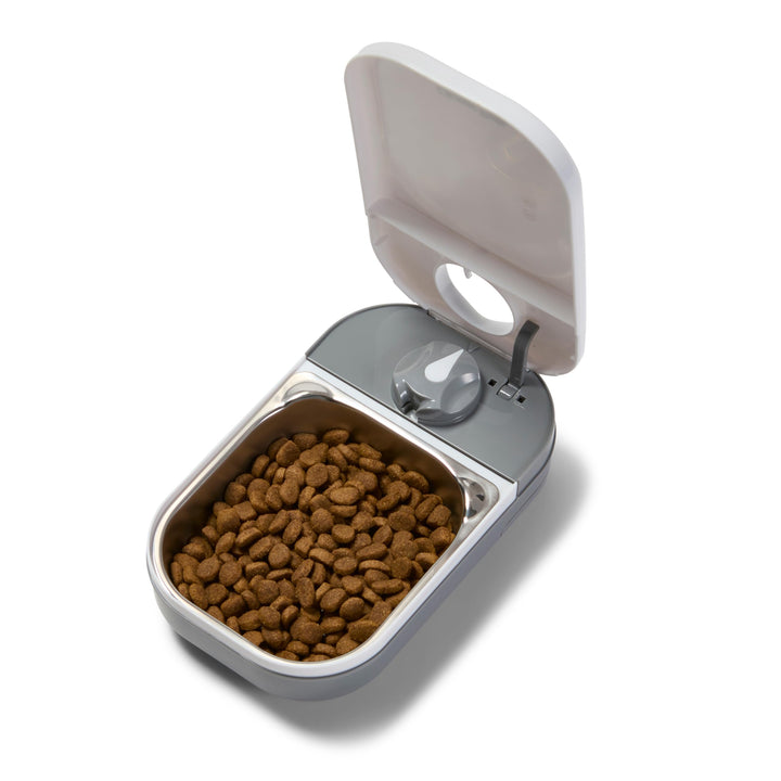 Closer Pets C100 One Meal Automatischer Futterspender für Katzen und kleine Hunde mit Edelstahl-Futt