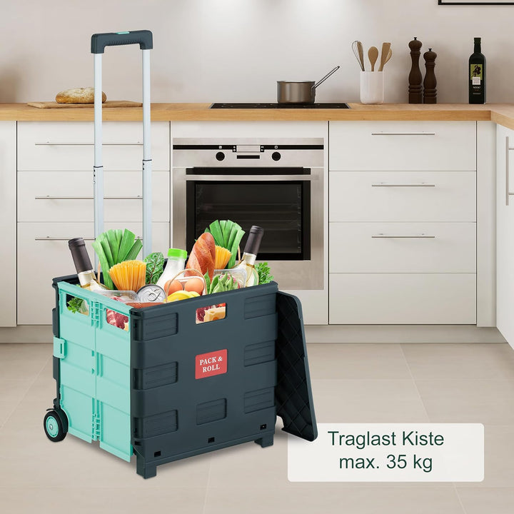 Relaxdays Einkaufstrolley, klappbar, Einkaufskorb mit Rollen, Deckel & Teleskopgriff, bis 35 kg, Rol