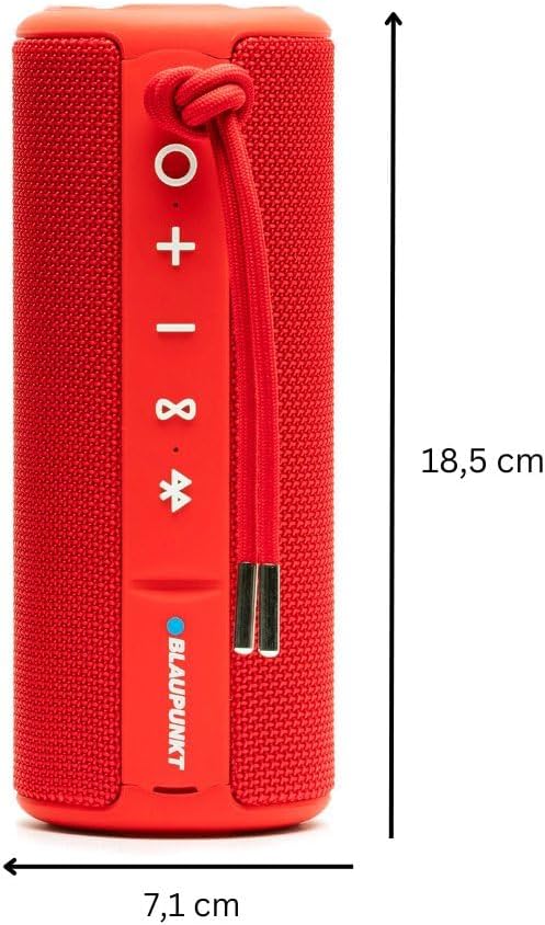 Blaupunkt BT 214 Bluetooth Lautsprecher, tragbar, kabellos, 10h Akkulaufzeit, Bluetooth 5.0, AUX, Fr