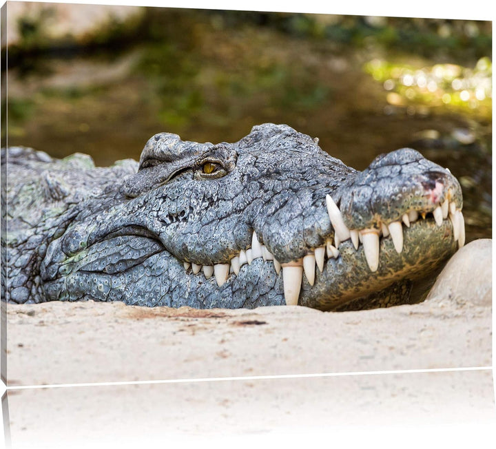 Pixxprint gigantisches Krokodil auf Leinwand, XXL riesige Bilder fertig gerahmt mit Keilrahmen, Kuns
