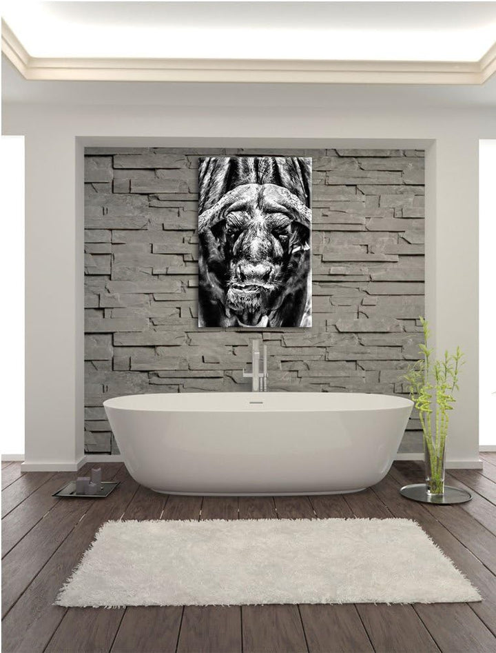 Pixxprint Wasserbüffel Schwarz-Weiss als Leinwandbild/Grösse: 100x70 cm/Wandbild/Kunstdruck/fertig b