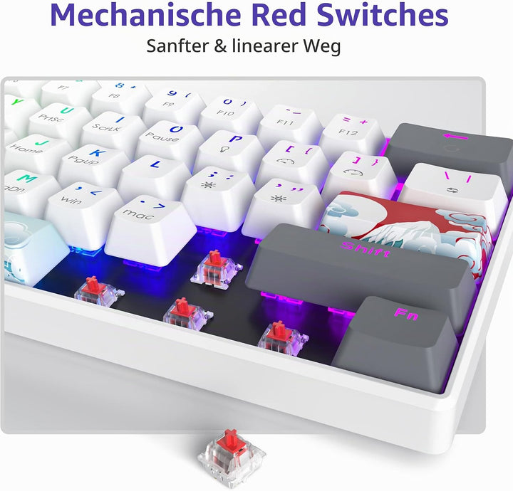SOLIDEE Tragbare 60% mechanische Gaming-Tastatur,61 Tasten kompakte RGB LED-Hintergrundbeleuchtung,k