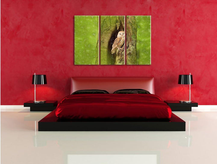 Pixxprint Schleiereule Baumhöhle als Leinwandbild/Grösse: 3 Teilig (120x80 cm) cm/Wandbild/Kunstdruc