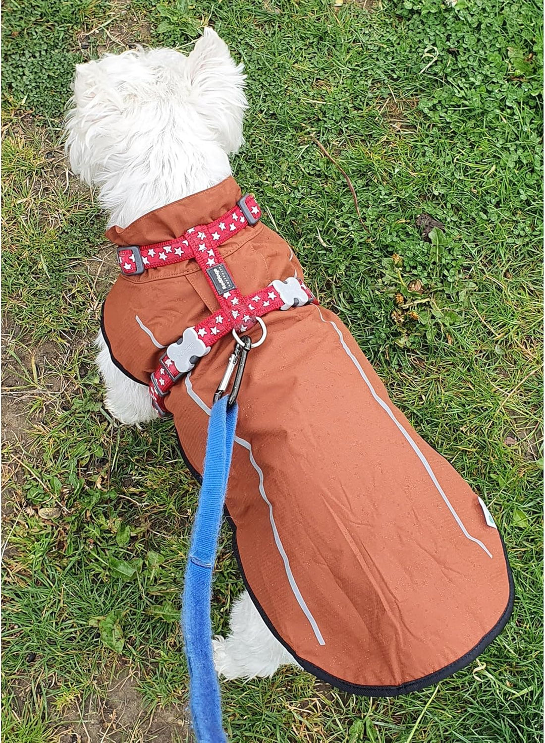 Mile High Life Hunderegenmantel Einstellbare wasserdichte Haustierkleidung Leichte Regenjacke mit re