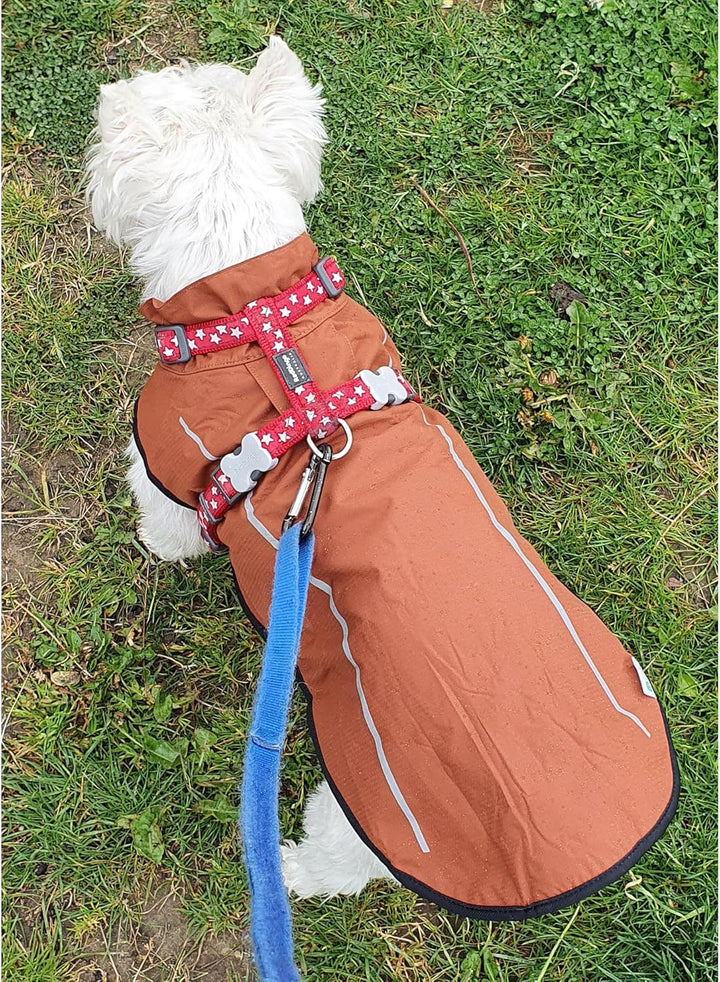 Mile High Life Hunderegenmantel Einstellbare wasserdichte Haustierkleidung Leichte Regenjacke mit re