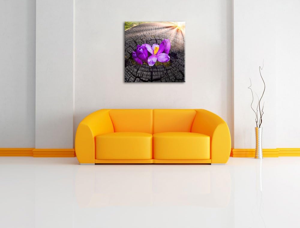Die Kraft der Natur, Format: 70x70 auf Leinwand, XXL riesige Bilder fertig gerahmt mit Keilrahmen, K