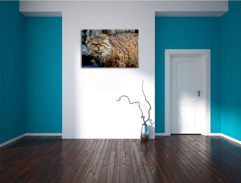 wütende Manul Deluxe Format: 100x70 cm auf Leinwand, XXL riesige Bilder fertig gerahmt mit Keilrahme