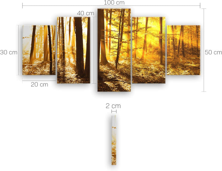ge Bildet Bild auf Leinwand | Landschaftsbilder - beautiful morning in the forest G in 100x50 cm meh