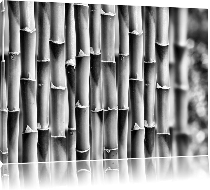 Pixxprint Grüner frischer Bambus/Format: 100x70cm / Leinwandbild fertig bespannt Wandbild Kunstdruck