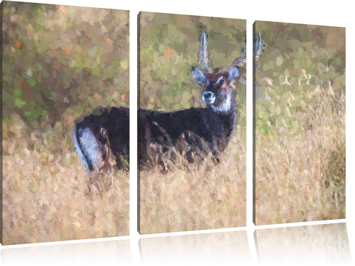 ausgewachsene Dorkasgazelle NewArt 3-Teiler Leinwandbild 120x80 Bild auf Leinwand, XXL riesige Bilde